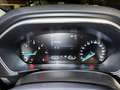 Ford Focus Focus SW 1.5 ecoblue Titanium 120cv Nero - thumbnail 14