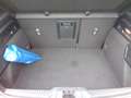 Ford Focus 1.0 EcoBoost Hyb.155cv ST-Line X Auto Rot - thumbnail 17