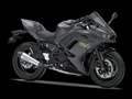 Kawasaki Ninja 650 Performance editie Burdeos - thumbnail 10