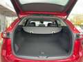 Mazda CX-5 2.2L SKYACTIV D Automatik AD'VANTAGE Roşu - thumbnail 15