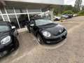 Volkswagen Beetle serie speciale 50 edition Zwart - thumbnail 13