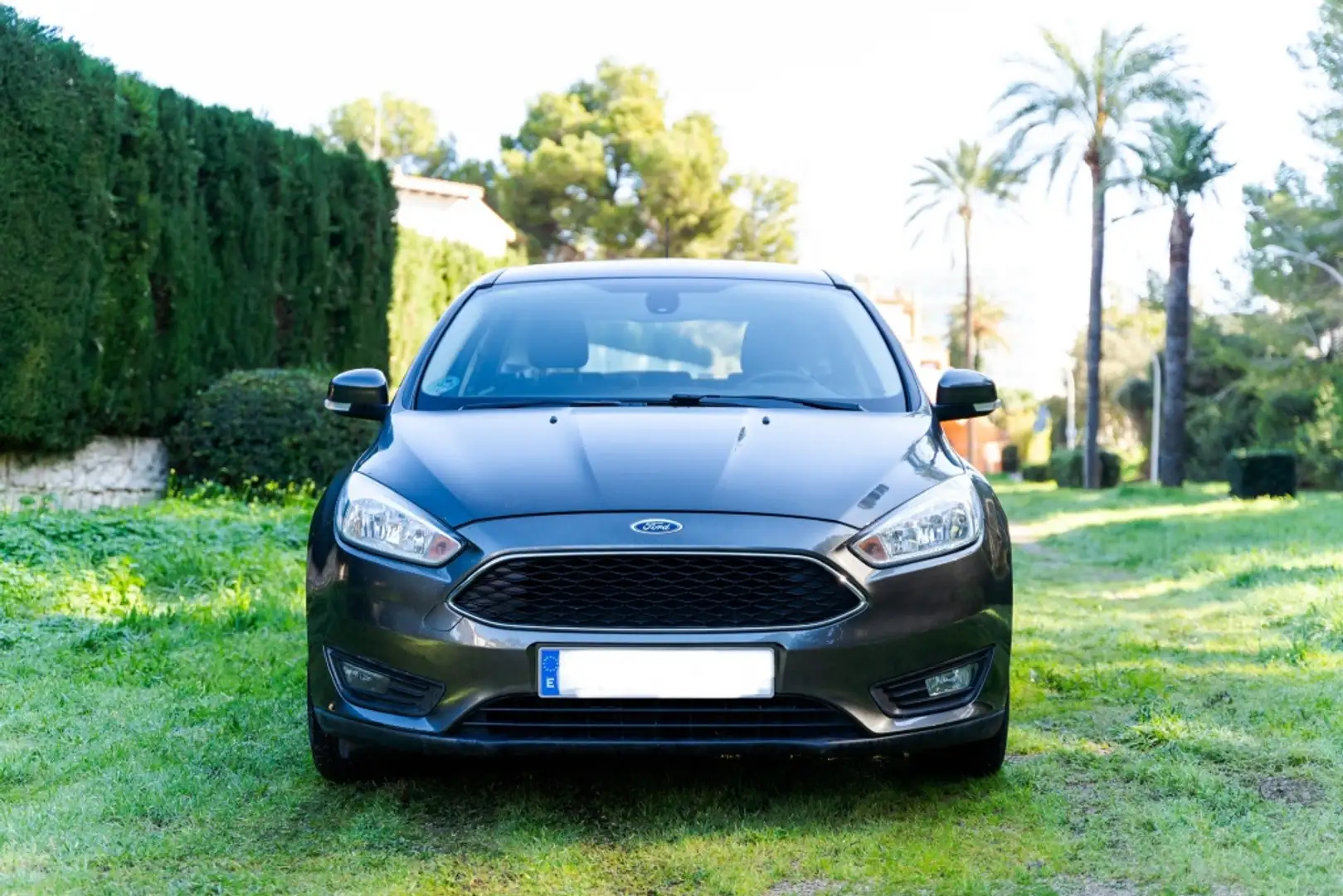 Ford Focus 1.0 Ecoboost Active 125 Marrón - 2
