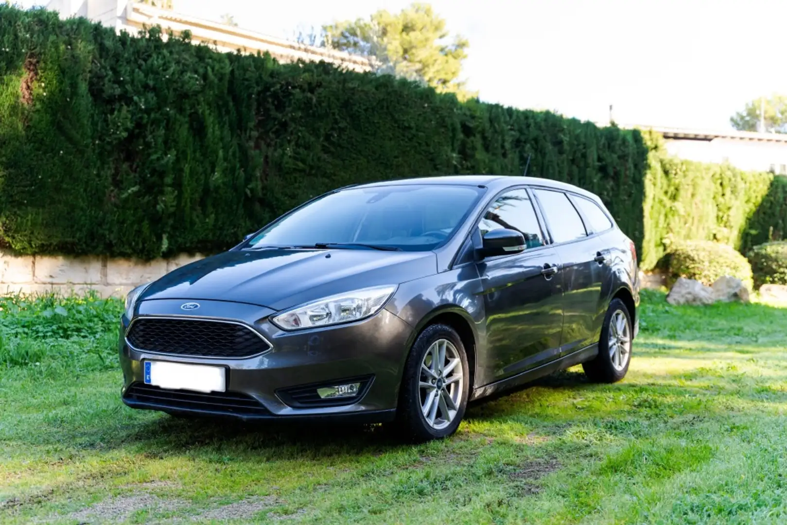Ford Focus 1.0 Ecoboost Active 125 Marrón - 1