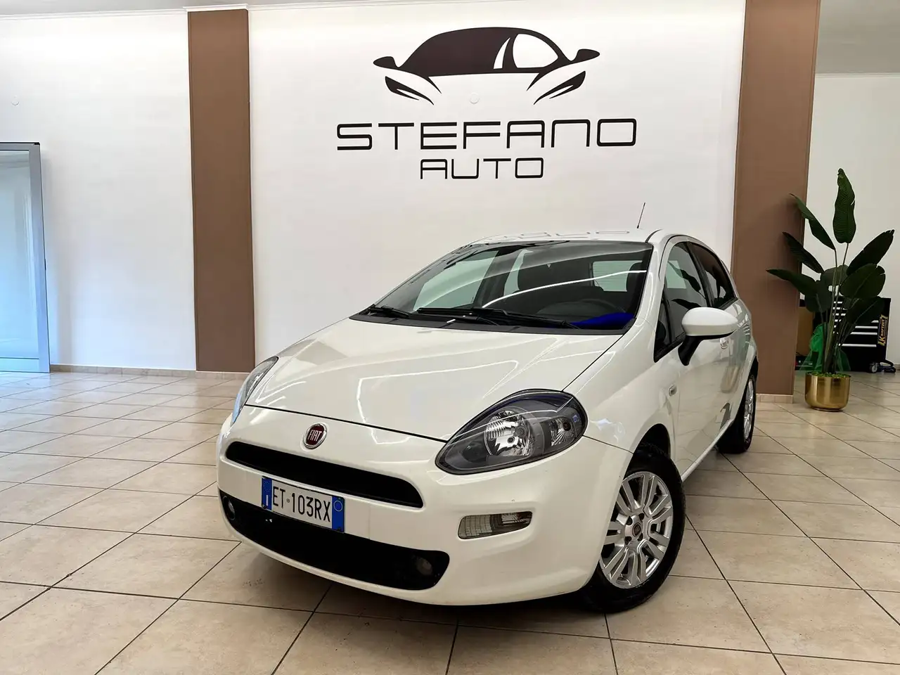 Fiat Punto