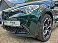 Alfa Romeo Stelvio 2.0 Veloce Q4 ACC Assist-Pkt CarPlay SHZ Green - thumbnail 6