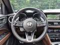 Alfa Romeo Stelvio 2.0 Veloce Q4 ACC Assist-Pkt CarPlay SHZ Green - thumbnail 10