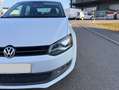 Volkswagen Polo 1.4 Team Weiß - thumbnail 10