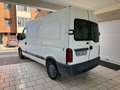 Opel Movano Wit - thumbnail 9