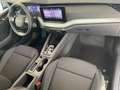 Skoda Octavia Combi Essence DSG AHK+Sitzheizung+App Connect 1... Bianco - thumbnail 12