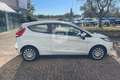 Ford Fiesta Fiesta 1.4 TDCi 70CV 3 porte Titanium Argent - thumbnail 4