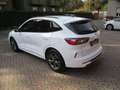 Ford Kuga 1.5 EcoBoost 150 CV 2WD ST-Line Weiß - thumbnail 4