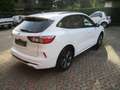 Ford Kuga 1.5 EcoBoost 150 CV 2WD ST-Line Weiß - thumbnail 6