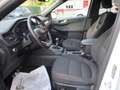 Ford Kuga 1.5 EcoBoost 150 CV 2WD ST-Line Weiß - thumbnail 10