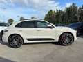 Porsche Macan Macan 2.0 265cv pdk/STUPENDA!!/TETTO/STRAFULL/PASM Gris - thumbnail 4