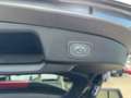 Ford Focus Turnier 1.5 EcoBoost Active X KAM*LED*TWA Grijs - thumbnail 23