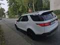 Land Rover Discovery 2.0 Sd4 HSE Weiß - thumbnail 1