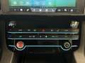 Jaguar F-Pace AWD*Black Pack*ACC*Navi*AHK*R.Cam*LED* Schwarz - thumbnail 21