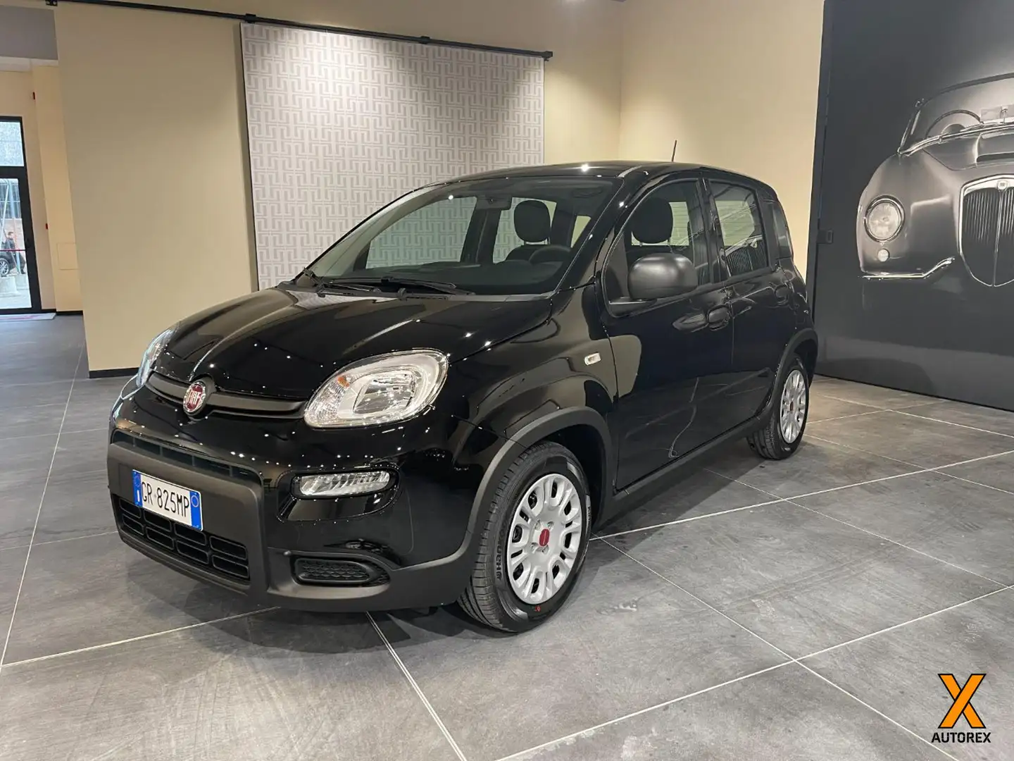 Fiat Panda 1.0 FireFly S&S Hybrid Con Rottamazione Nero - 1