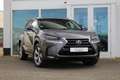 Lexus NX 300h Hybride AWD President Line I Mark Lev. I Trekhaak Gris - thumbnail 5