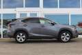 Lexus NX 300h Hybride AWD President Line I Mark Lev. I Trekhaak Gris - thumbnail 11
