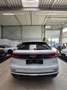 Audi Q8 Audi Q8 50TDI/B&O/Standheizung/Massage/704€* Blanc - thumbnail 9