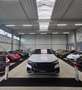Audi Q8 Audi Q8 50TDI/B&O/Standheizung/Massage/704€* Blanc - thumbnail 1