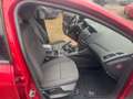 Ford Focus Turnier Champions Edition Servo Klima**** Rouge - thumbnail 10