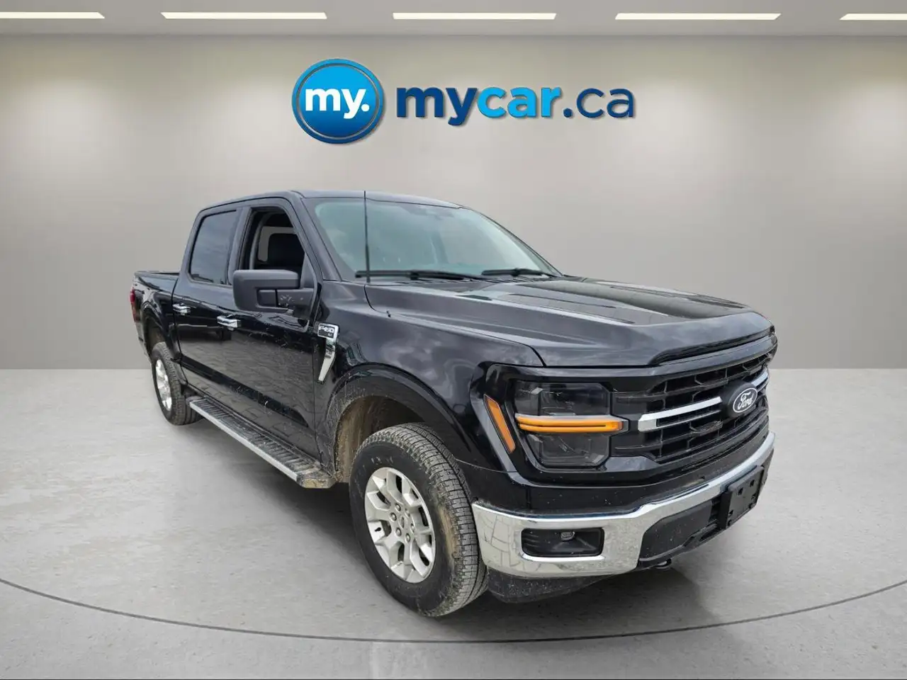 Ford F 150 fotografie Ford F 150