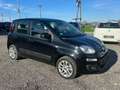 Fiat New Panda Panda 0.9 Twin Air Nero - thumbnail 2