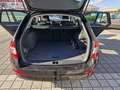 Skoda Octavia Combi Joy - Bi Xenon - AHK Schwarz - thumbnail 15