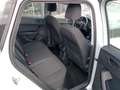 SEAT Ateca 1.0 TSI Style AHK|NAVI|LED|ab4,99% Weiß - thumbnail 4