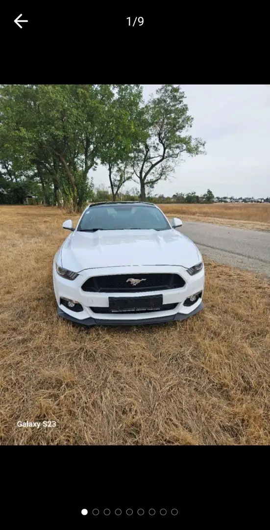 Ford Mustang 5,0 Ti-VCT V8 GT Aut. - 1