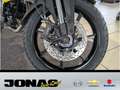 Suzuki In Menden bei Jonas Sofort Verfügbar Nero - thumbnail 14