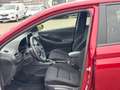 Hyundai i30 N 2.0 T-GDI N Performance 8fachbereift*DSG* Rot - thumbnail 9