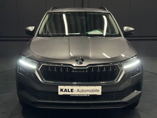 Skoda Karoq view 8