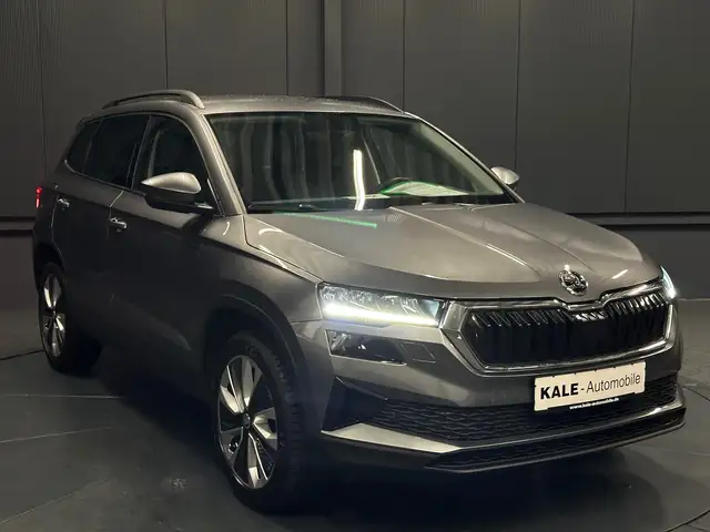 Skoda Karoq view 7