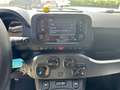 Fiat Panda Panda III 2021 1.0 firefly hybrid s Grigio - thumbnail 6