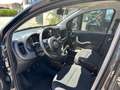 Fiat Panda Panda III 2021 1.0 firefly hybrid s Grigio - thumbnail 5