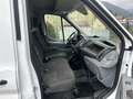 Ford Transit Bus 2,0 EcoBlue HD L4H3 440 Trend—8900€ Netto! - thumbnail 6