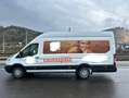 Ford Transit Bus 2,0 EcoBlue HD L4H3 440 Trend—8900€ Netto! - thumbnail 2