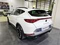 CUPRA Formentor 2.0 TSI 190 DSG 4Drive Blanc - thumbnail 4