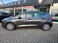 Ford Fiesta Titanium*R-Kam*Smartphone-Integration* Grau - thumbnail 8