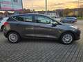 Ford Fiesta Titanium*R-Kam*Smartphone-Integration* Grau - thumbnail 17