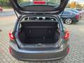 Ford Fiesta Titanium*R-Kam*Smartphone-Integration* Grau - thumbnail 14
