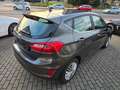 Ford Fiesta Titanium*R-Kam*Smartphone-Integration* Grau - thumbnail 16