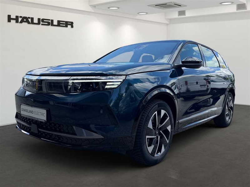 Opel Grandland X electric Edition 73kWh Allwetter*Sitz- und Lenkrad