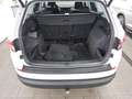 Skoda Kodiaq 2.0 TDI Clever Navi LED vc 4xShz AHK ACC Blanc - thumbnail 13
