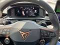 CUPRA Terramar 1.5 e-TSI 150 PS DSG Schwarz - thumbnail 21