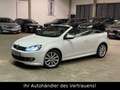 Volkswagen Golf VI Cabriolet Exclusive*Kamera*DYNAUDIO*XENO Weiß - thumbnail 3