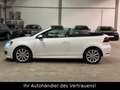 Volkswagen Golf VI Cabriolet Exclusive*Kamera*DYNAUDIO*XENO Weiß - thumbnail 7